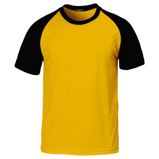 12 meilleures combinaisons de couleurs de t-shirts : disponibles à tout moment 9 Jaune et Noir